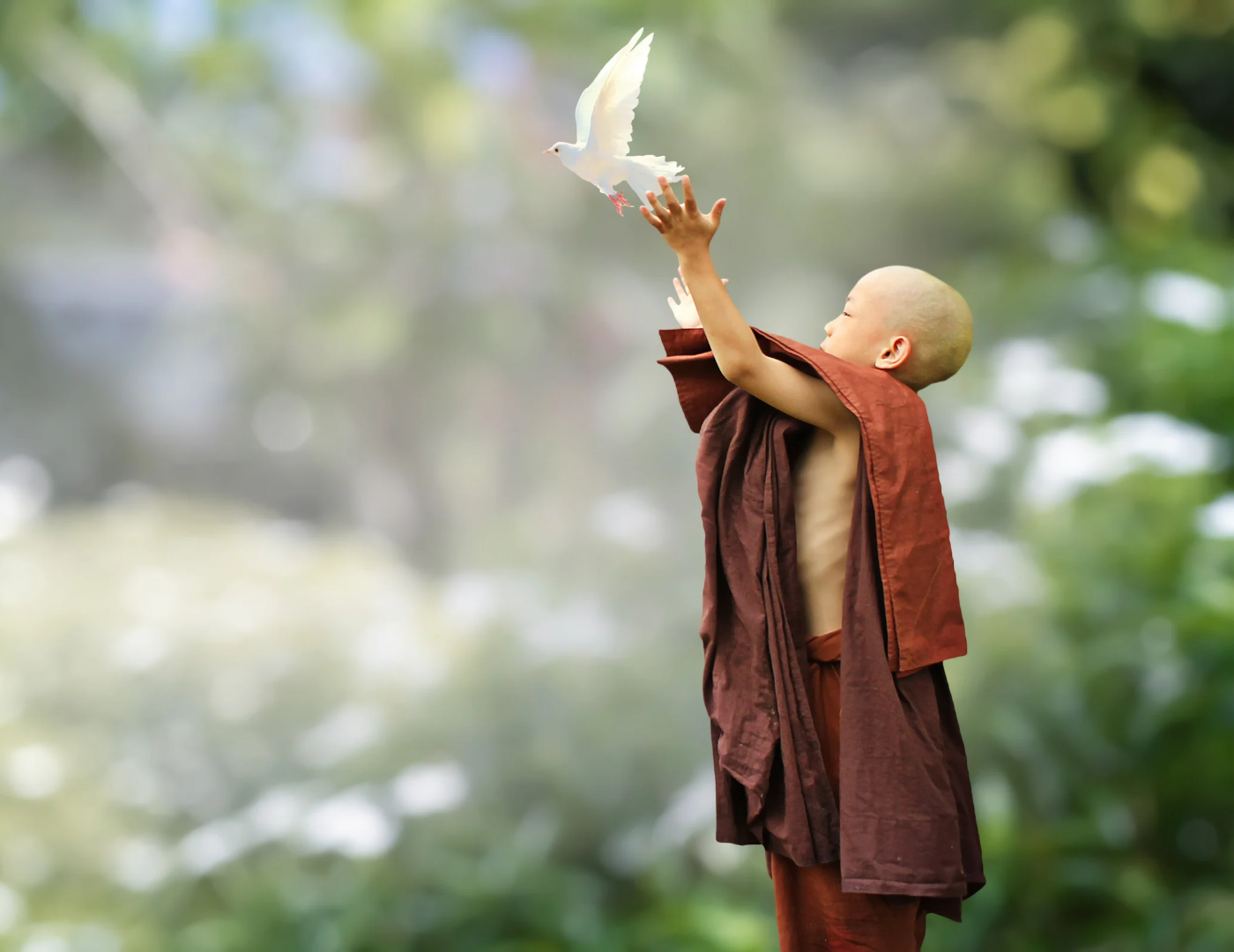 Little-Buddhist-monk-lets-pigeon-fly-outside-in-green-nature